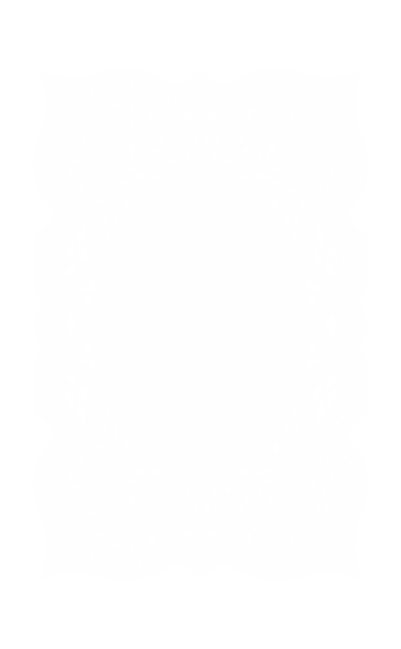 Roma Santino Canivet Ricamato - immagine 4